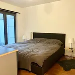 Rent 4 bedroom apartment in Schilde