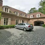 Rent 1 bedroom apartment in Brasschaat