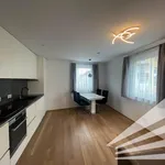 Rent 2 bedroom apartment of 39 m² in Linz