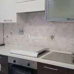 Rent 2 bedroom apartment of 45 m² in Turin