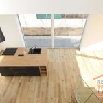 Rent 1 bedroom house of 420 m² in Vřesovice