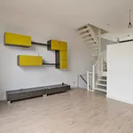 Rent 5 bedroom house of 157 m² in 's-Gravenhage