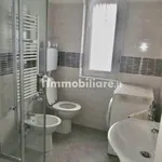 Rent 1 bedroom apartment of 30 m² in Torino