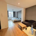 Rent 1 bedroom apartment in brussels