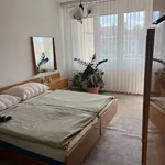 Rent 2 bedroom apartment in Plzeň-jih