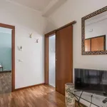 Rent 1 bedroom apartment in Rome