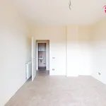 Rent 3 bedroom apartment of 90 m² in Roma