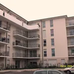 Rent 3 bedroom apartment of 65 m² in DIJON