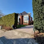 Rent 9 bedroom house of 300 m² in Kruiskerkbuurt