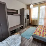 Rent 1 bedroom apartment of 90 m² in Szeged