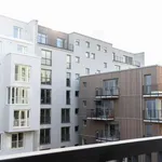 Rent 1 bedroom apartment of 55 m² in berlin