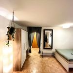 Miete 2 Schlafzimmer wohnung von 40 m² in Dresden