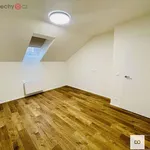 Rent 3 bedroom apartment of 79 m² in Trhový Štěpánov