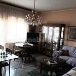 Rent 5 bedroom apartment of 110 m² in Rovigo