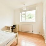 Rent 5 bedroom house in   Norwich
