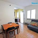 Rent 3 bedroom apartment of 56 m² in Novara