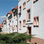 Rent 2 bedroom apartment of 51 m² in Chemnitz