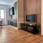 Rent 3 bedroom apartment of 72 m² in Rome