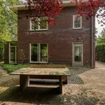 Rent 4 bedroom house of 220 m² in 's-Gravenhage