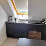 Rent 1 bedroom apartment of 28 m² in Bonn