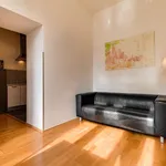 Rent 1 bedroom apartment of 40 m² in Prague