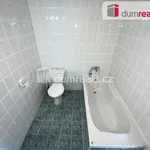 Rent 1 bedroom apartment of 24 m² in Břeclav