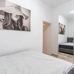 Rent 1 bedroom apartment of 45 m² in Budapest