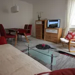 Rent 2 bedroom apartment of 43 m² in Dresden