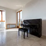 Rent 3 bedroom apartment of 250 m² in Budapest