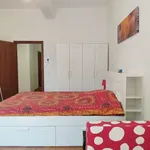 Rent a room of 115 m² in florence