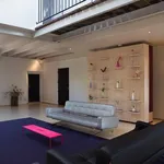 Rent 2 bedroom apartment of 165 m² in Maastricht