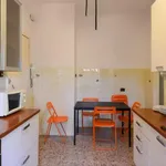 Rent 6 bedroom apartment in Rome