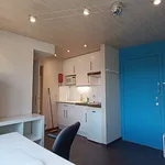 Huur 1 slaapkamer appartement van 25 m² in Leuven