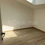 Rent 4 bedroom apartment of 95 m² in Roma