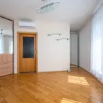 Pronajměte si 4 ložnic/e byt o rozloze 146 m² v Prague