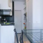 Rent 4 bedroom apartment in Madrid