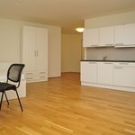 Rent 1 bedroom apartment of 31 m² in Dresden