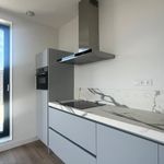 Rent 2 bedroom apartment of 75 m² in haarlem
