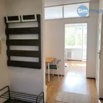 Rent 1 bedroom apartment of 6 m² in Brno