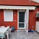 Rent 2 bedroom apartment of 39 m² in Pisa