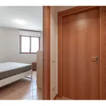 Rent 2 bedroom apartment of 68 m² in Milano