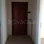 Rent 3 bedroom apartment of 70 m² in Alessandria