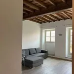 Rent 3 bedroom apartment of 120 m² in Turin