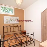 Rent 2 bedroom apartment of 50 m² in Bagheria