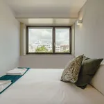 Rent 1 bedroom apartment in porto