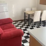 Rent 1 bedroom apartment of 45 m² in Bologna