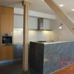 Rent 6 bedroom apartment of 268 m² in Capital City of Prague