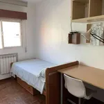 Rent a room in madrid