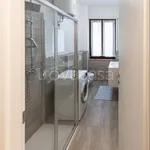 Rent 3 bedroom apartment of 90 m² in Verona