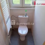 Rent 1 bedroom apartment of 39 m² in Karlovy Vary